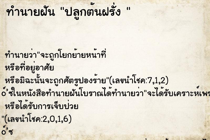ทำนายฝันทำนายฝันปลูกต้นฝรั่ง